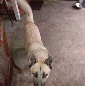 Meet your Posher, Jerome